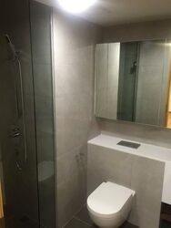 Eight Riversuites (D12), Condominium #484675951